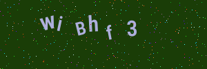 Validation image